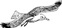 CC005072.WMF