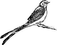 CC005071.WMF