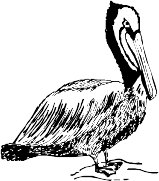 CC005069.WMF