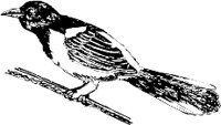 CC005068.WMF