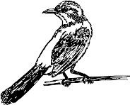 CC005066.WMF