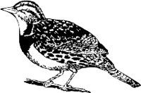 CC005065.WMF