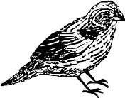 CC005063.WMF