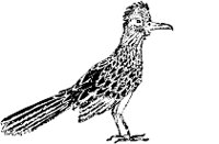 CC005060.WMF