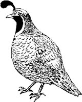 CC005059.WMF
