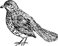 CC005058.WMF
