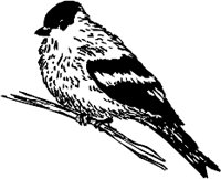 CC005056.WMF