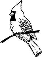 CC005054.WMF