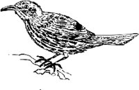CC005053.WMF