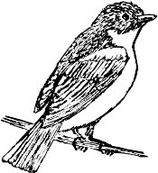 CC005052.WMF