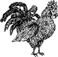CC005051.WMF