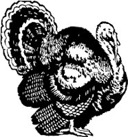 CC002510.WMF