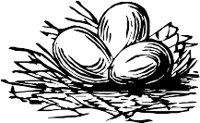 CC002475.WMF