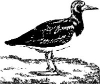 CC000548.WMF
