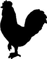 CC000415.WMF