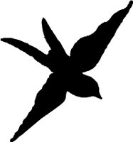 CC000414.WMF