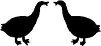 CC000413.WMF