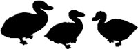 CC000409.WMF