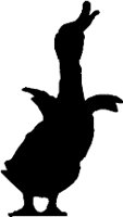 CC000367.WMF