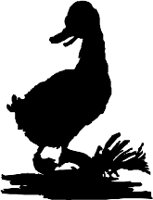 CC000347.WMF