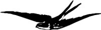 CC000276.WMF