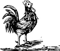 CC000272.WMF