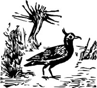 CC000269.WMF