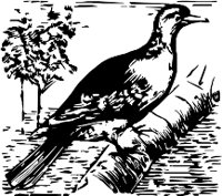 CC000267.WMF