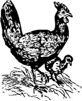 CC000262.WMF