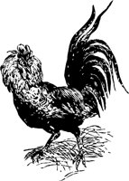 CC000261.WMF