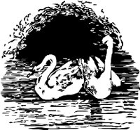 CC000257.WMF