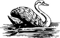 CC000255.WMF