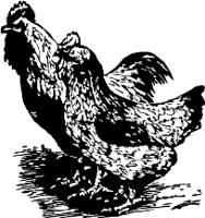 CC000244.WMF