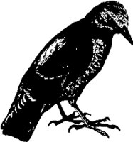 CC000099.WMF
