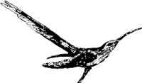 CC000098.WMF