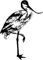 CC000094.WMF