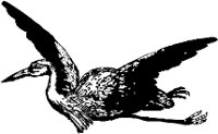 CC000093.WMF
