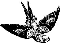 CC000092.WMF