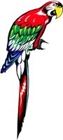 CBIRD071.WMF