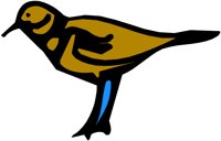CBIRD063.WMF