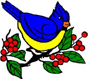 CARDINA3.WMF