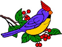 CARDINA2.WMF