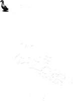 CAA0253.WMF