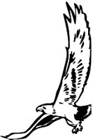 Bldeagle.WMF