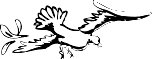 Bird44.WMF