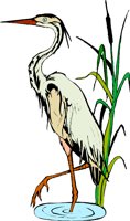 Bird1a.wmf