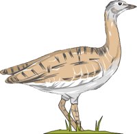 BUSTARD.WMF