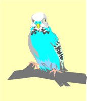 BUDGIE1.WMF