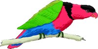 BKCPLORY.WMF