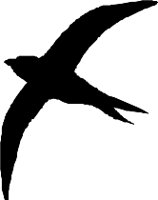 BIRDS022.WMF
